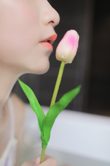 不灭的女神